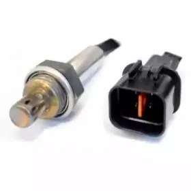 hoffer-7481780