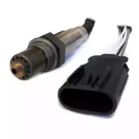 hoffer-7481783