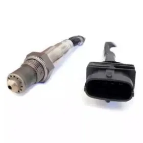 hoffer-7481784