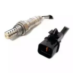 hoffer-7481788