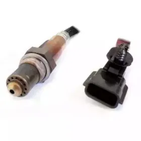 hoffer-7481791
