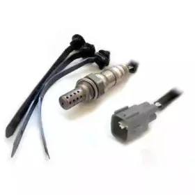 hoffer-7481794