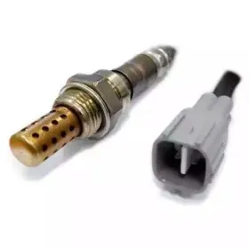 hoffer-7481795