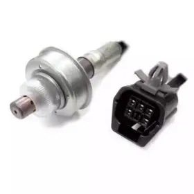hoffer-7481803