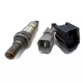 hoffer-7481806