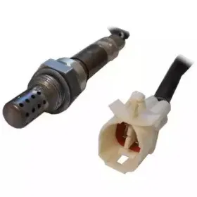 hoffer-7481822