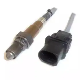 hoffer-7481836