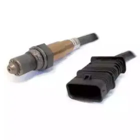 hoffer-7481842