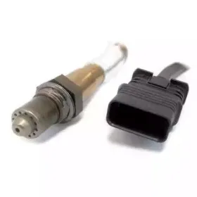 hoffer-7481845