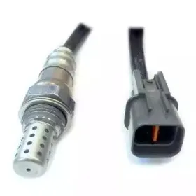 hoffer-7481851
