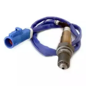 hoffer-7481855