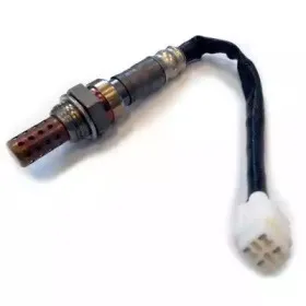 hoffer-7481860