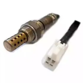 hoffer-7481862