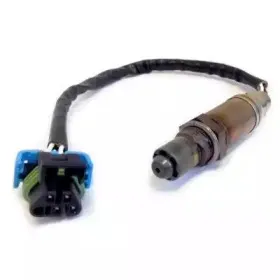 hoffer-7481866
