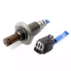 hoffer-7481871