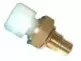 hoffer-7472044