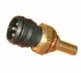 hoffer-7472072