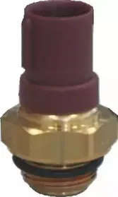 hoffer-7472652