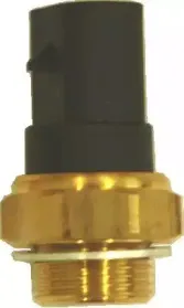 hoffer-7472659
