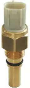 hoffer-7472663