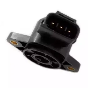 hoffer-7513108