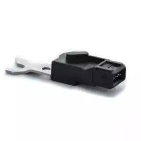 hoffer-7517219