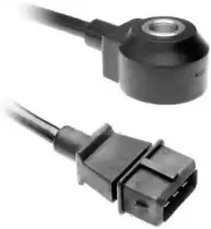 hoffer-7517357