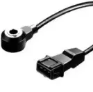 hoffer-7517371