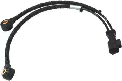 hoffer-7517504