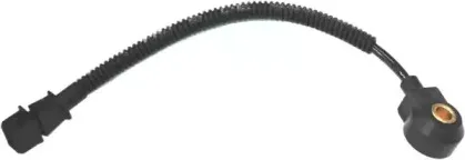 hoffer-7517505