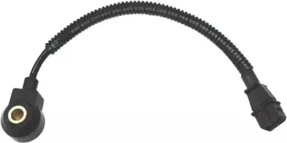 hoffer-7517553