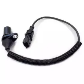 hoffer-7517612