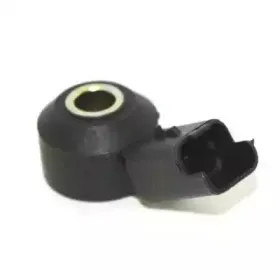 hoffer-7517615