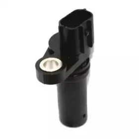 hoffer-7517680