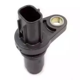 hoffer-7517714