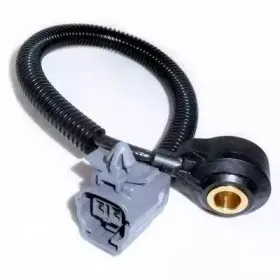 hoffer-7517790