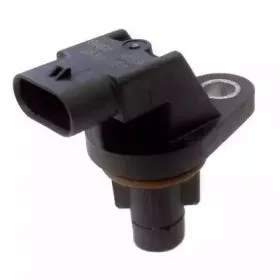 hoffer-7517806