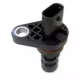hoffer-7517920