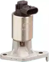 hoffer-7518037