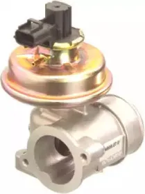 hoffer-7518041