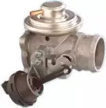 hoffer-7518052