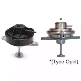 hoffer-7518064