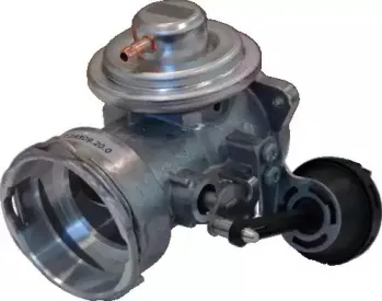 hoffer-7518069