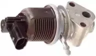 hoffer-7518072
