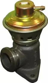 hoffer-7518077