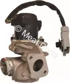 hoffer-7518081