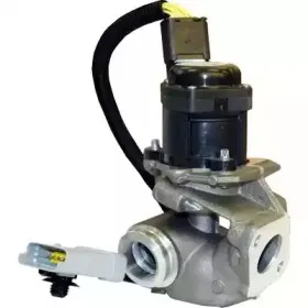 hoffer-7518084