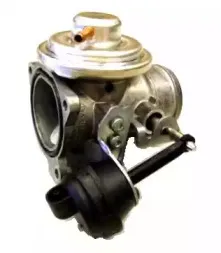 hoffer-7518096