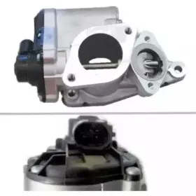 hoffer-7518112