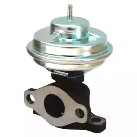hoffer-7518133